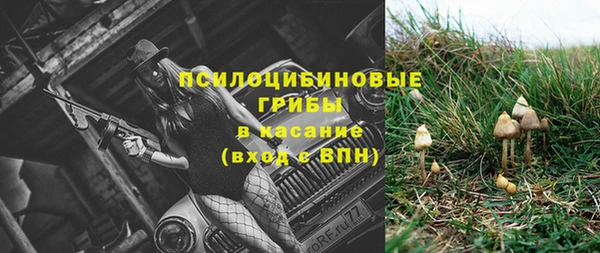 мдма Каменногорск