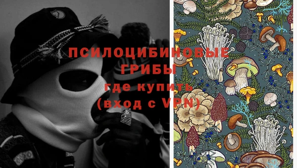 прущая мука Каменка