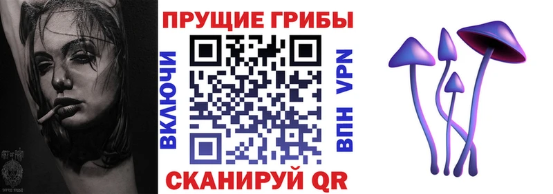 Купить  Барабинск  Псилоцибиновые грибы Magic Shrooms 