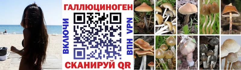 Псилоцибиновые грибы ЛСД Барабинск